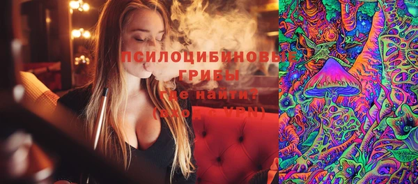 ПСИЛОЦИБИНОВЫЕ ГРИБЫ Балабаново