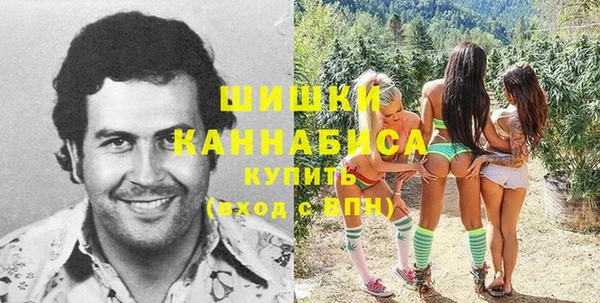 ПСИЛОЦИБИНОВЫЕ ГРИБЫ Балабаново