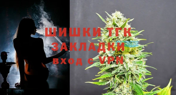 ПСИЛОЦИБИНОВЫЕ ГРИБЫ Балабаново
